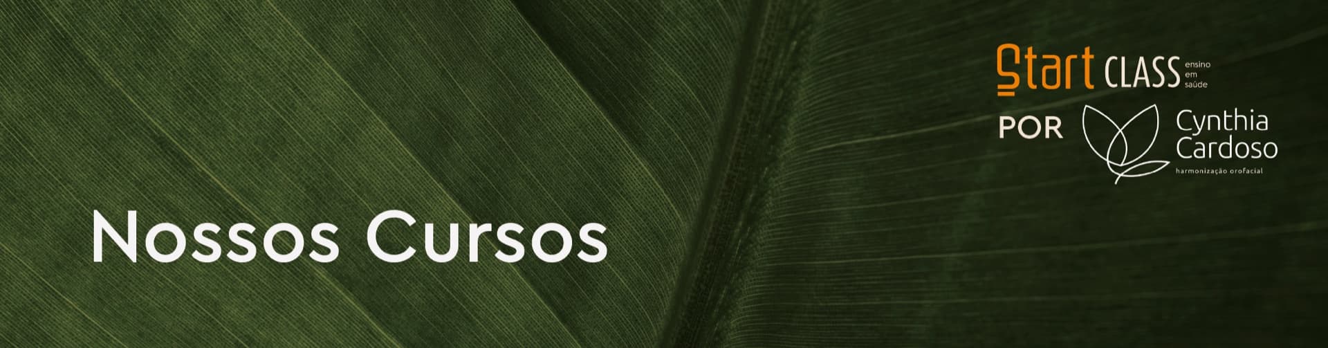 Nossos Cursos — StartClass por Cynthia Cardoso